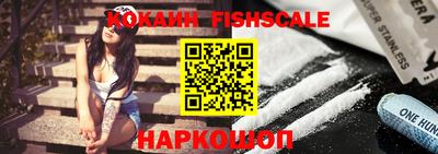 гашик Сланцы