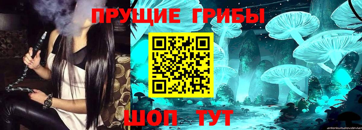 Галлюциногенные грибы GOLDEN TEACHER Острогожск