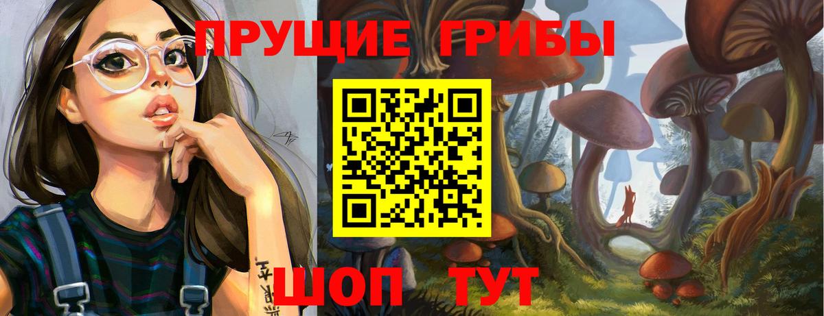 закладки  Вход с VPN  Острогожск  Галлюциногенные грибы MAGIC MUSHROOMS 